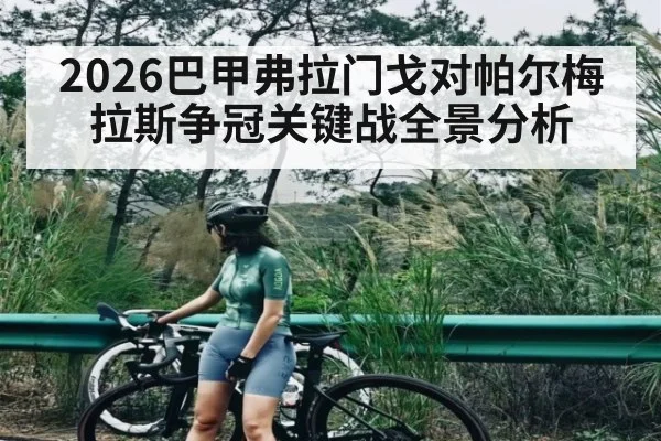 2026巴甲弗拉门戈对帕尔梅拉斯争冠关键战全景分析